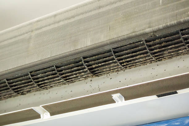 Professional Airduct Cleaning in Coral Hills, MD